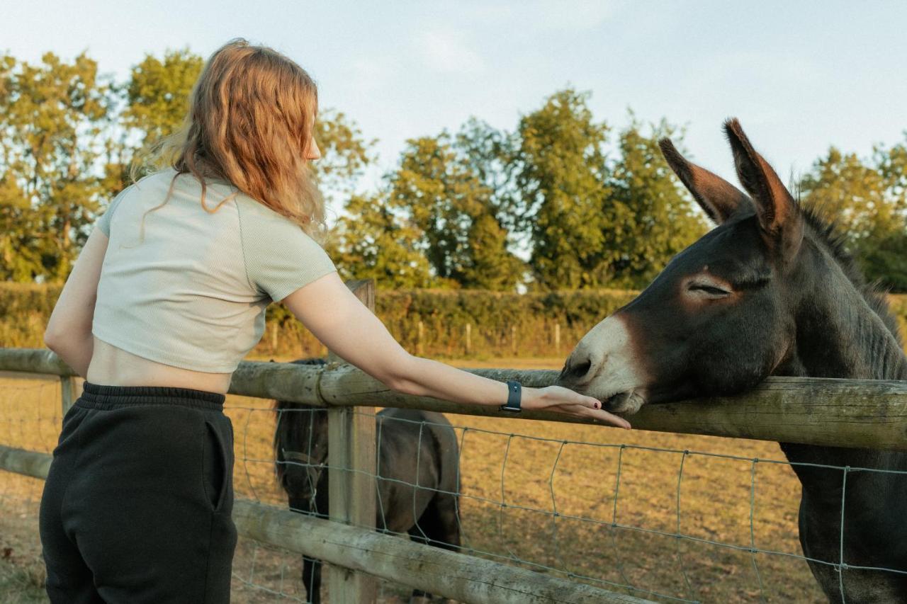奇彭纳姆Glamping At The Retreat Wiltshire Is Rural Bliss别墅 外观 照片